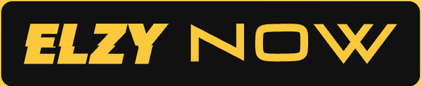 ElzyNow